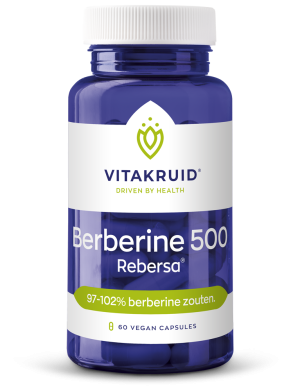 Berberine 500 (60 vegan capsules)