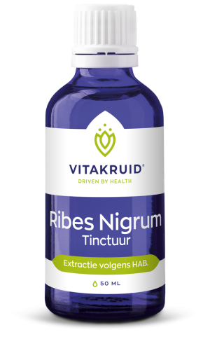 Ribes Nigrum tinctuur (50 ml)